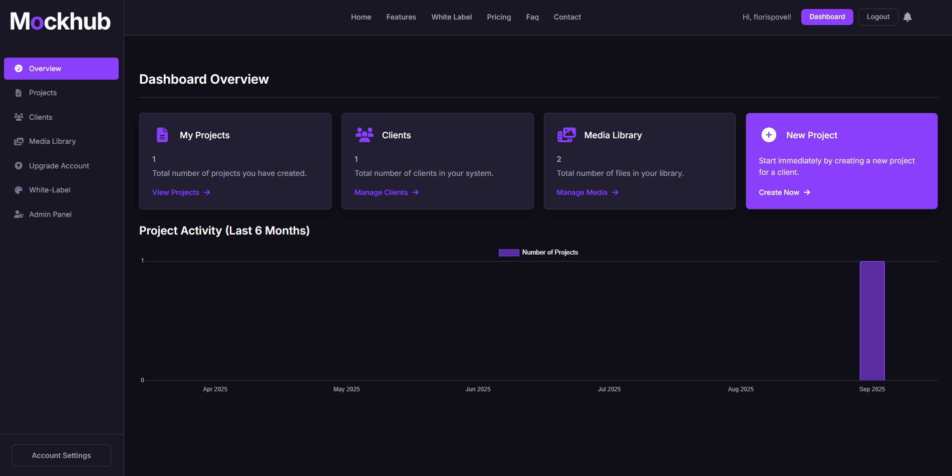Mockhub Dashboard Overview
